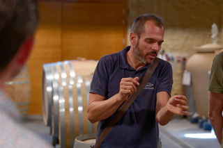 From Avignon: Châteauneuf du Pape Half-Day Wine Tour