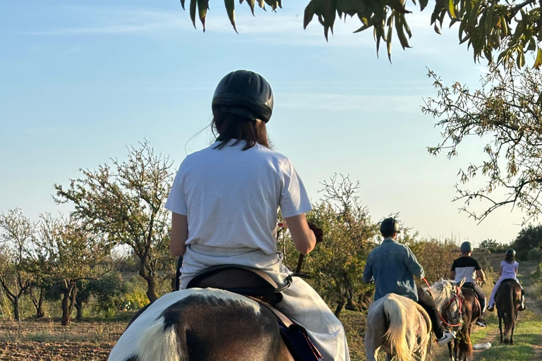Romantic Experience with horses in the Natural Reserve WWF