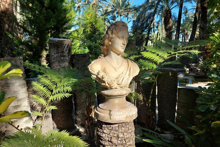 Elche: walking tour through the historic center and botanical garden Huerto de Cura