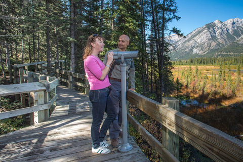 Banff: Thermal Waters and Hidden Waterfalls - 3hr Walk