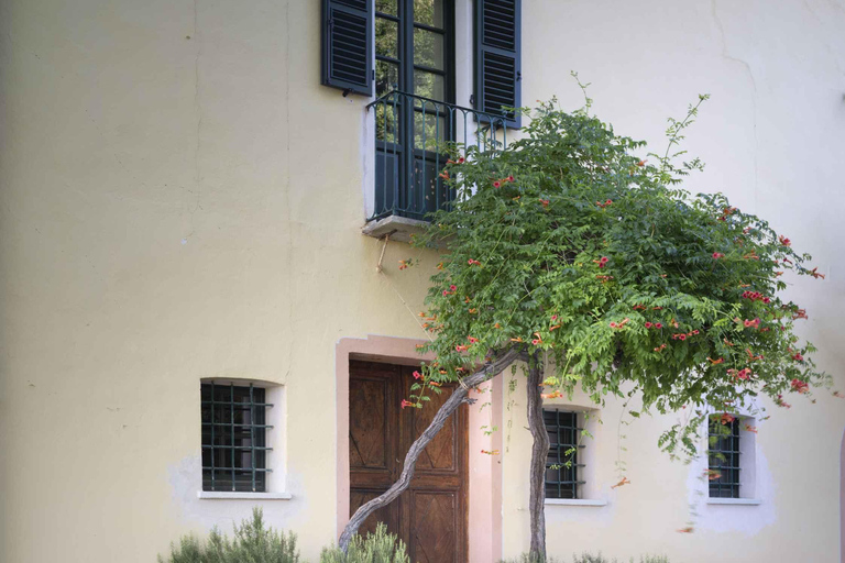Langhe: Visit to the Vineyard and Historic Cellars with Tasting Langhe: Visit to the Vineyard and Historic Cellars with Wine Tasting