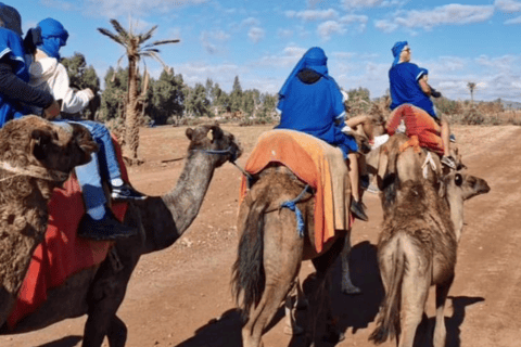 Marrakech : balade en chameau à la palmeraieMarrakech : balade en chameau de 3 h à la palmeraie