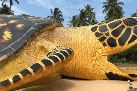 Bentota: River Safari, Turtle Hatchery & Galle Fort Day Tour