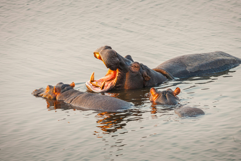 Livingstone: Mosi-oa-Tunya Park Safari and Zipline Tour