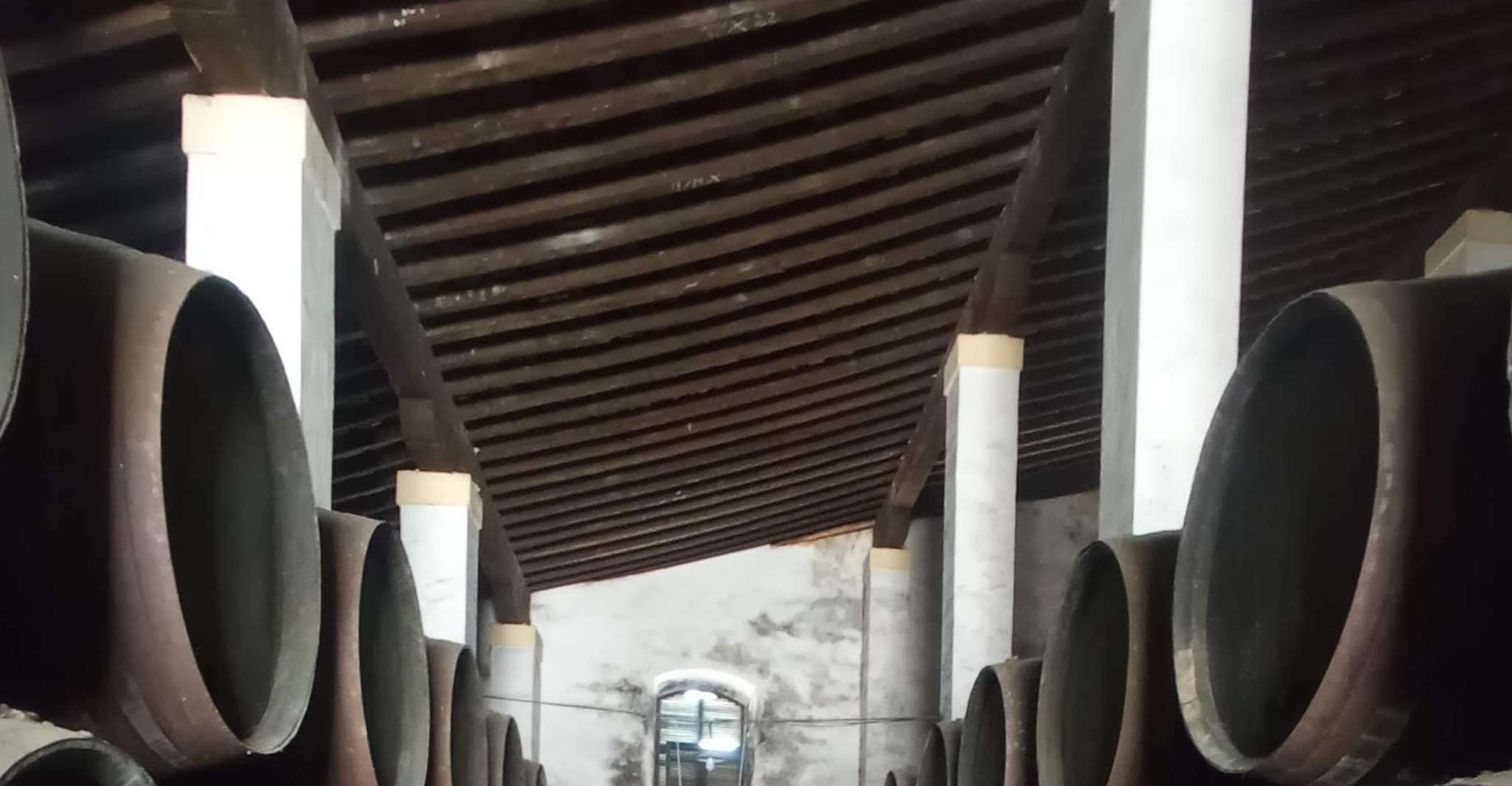 Jerez de la Frontera: Sherry Winery Tour with Tasting photo 6