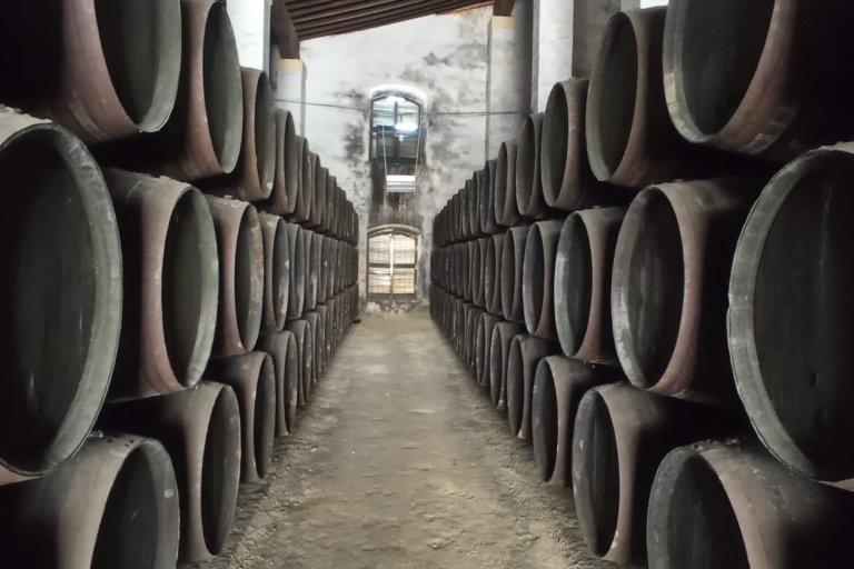 Ein Erlebnis in einem jahrhundertealten Sherry-Weingut