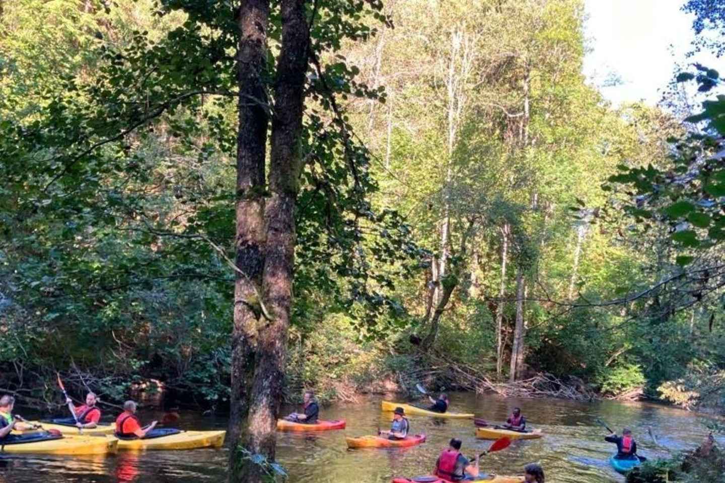Dals Långed: Steneby River Kayaking Tour