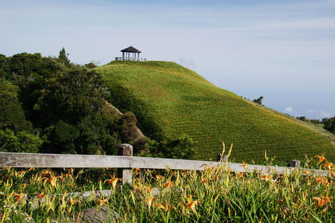 Auckland: Private City Tour with Mount Victoria and Mt. Eden