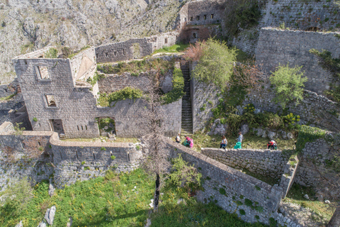 Kotor: City Walls Entry Ticket