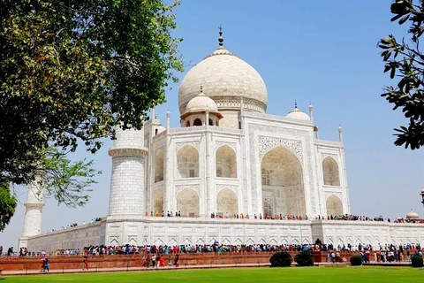 From Delhi: Taj Mahal Tour with Elephant Conservation Centre All Incl. Car + Guide + Tickets + Elephant + Lunch