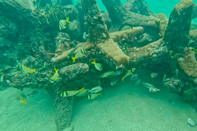 Fort Lauderdale: Ocean Reef Snorkel Tour w/ Snacks & Drinks