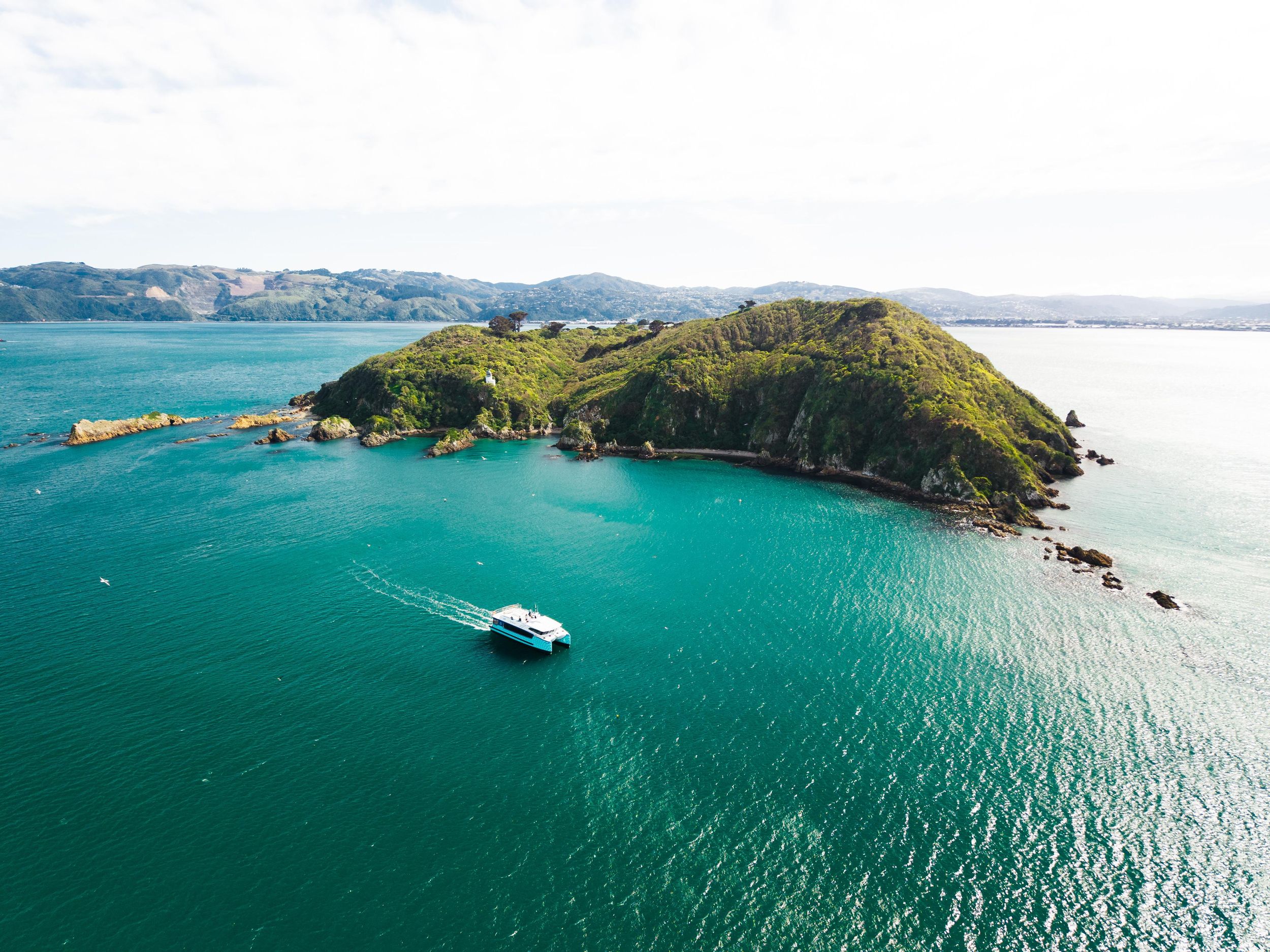 Wellington: Commentated Harbour Explorer tour