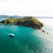 Wellington: Commentated Harbour Explorer tour