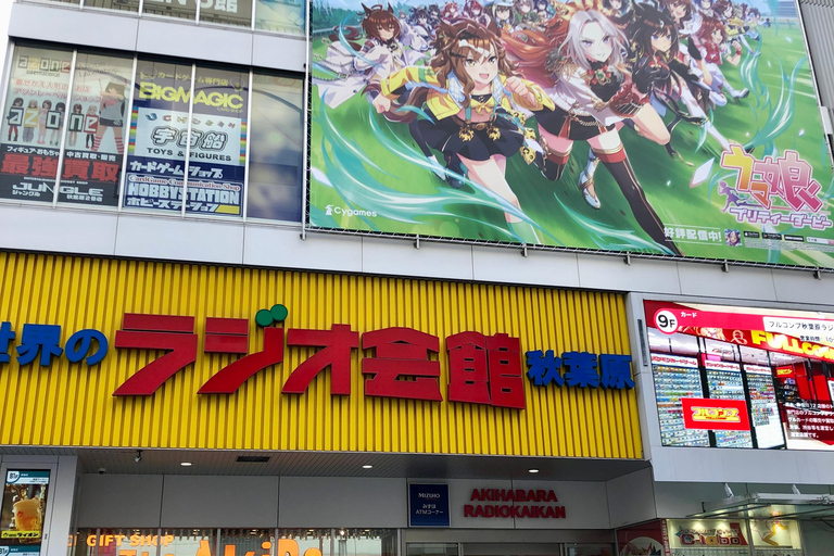 Tokyo: Akihabara Otaku Private Custom Tour with Pickup