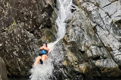 Fajardo: El Yunque Forest Guided Adventure