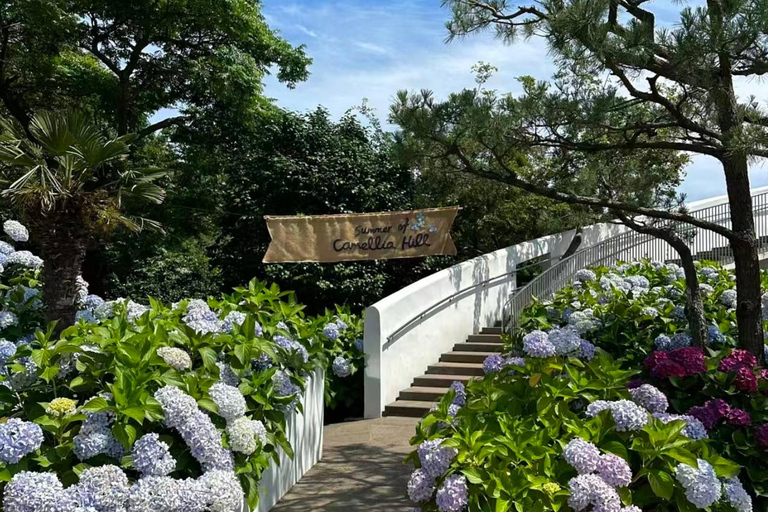 Jeju: Camellia Hill Admission & Seasonal Photo Guide