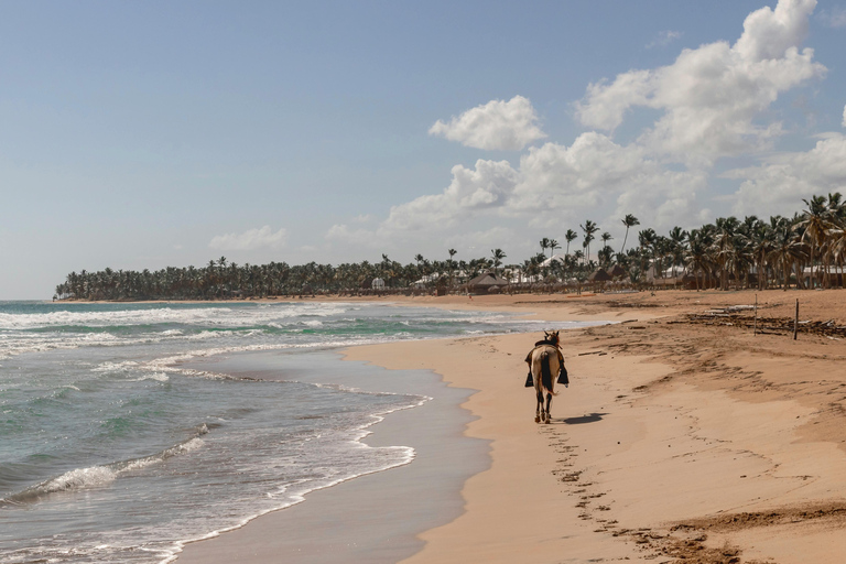 Barbados: Beach and Rainforest Horse Riding Combo 2-Hour Beach and Rainforest Horse Riding Combo