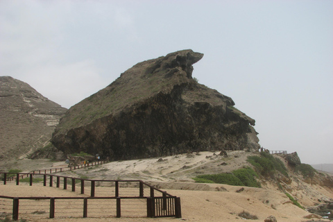 Salalah: Private Mughsail & Frankincense Half-Day Tour Coach (21–45)