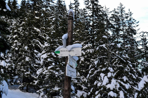 Kraków: Tatra Mountains Guided Hike with Hotel Pickup Tatra Mountains Guided Hike with Hotel Pickup