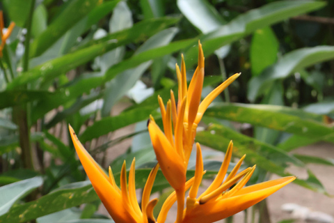 Z Huatulco: Egzotyczny ogród w ekoturystycznym ranczu i wizyta w punkcie widokowym.Z Huatulco: Egzotyczny ogród w ekoturystycznym ranczu i wizyta w punkcie widokowym