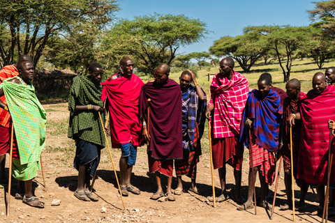 Sansibar: Maasai-Dorf und Nungwi-SchildkrötenSansibar: Maasai Dorf &amp; Nungwi Ausflug