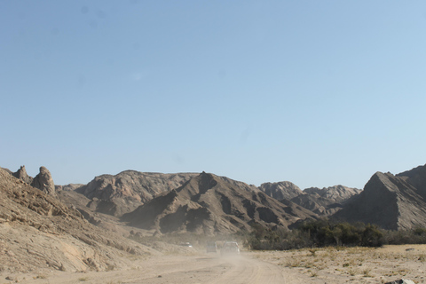 Swakopmund: Namib Desert Sunrise, Seals & Sandwich Harbour