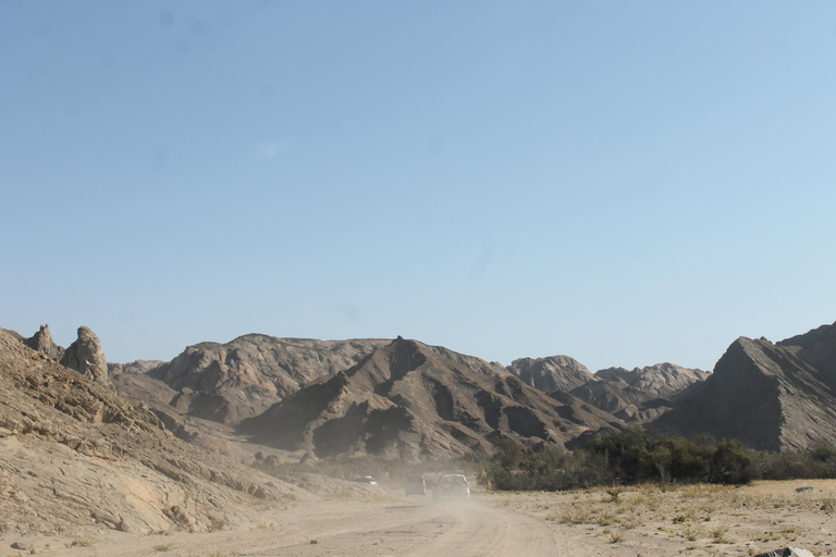 Swakopmund: Namib Desert Sunrise, Seals & Sandwich Harbour