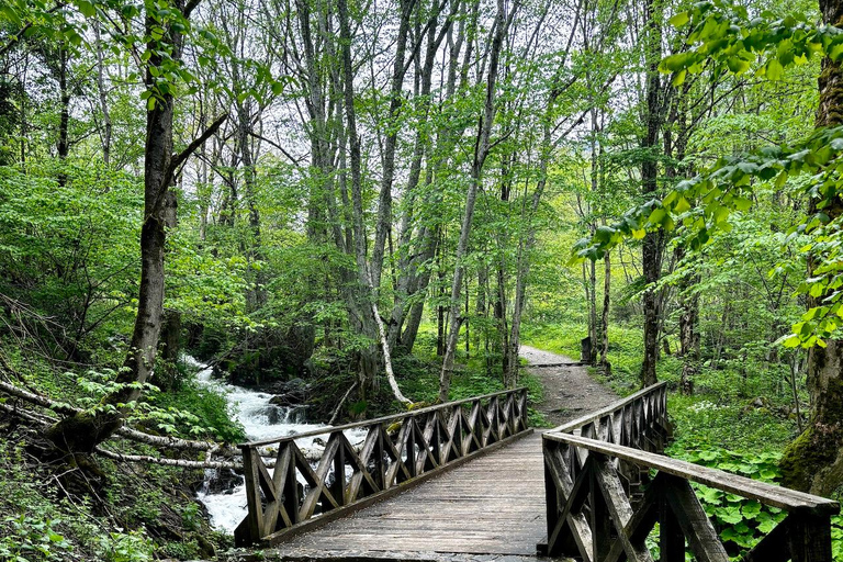 Stob Piramyde, Mosteiro de Rila, Caverna Ivan Rilski De SOFIA