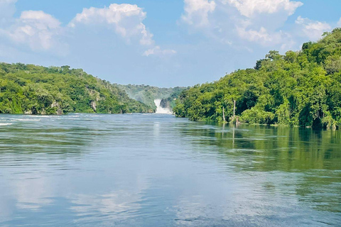 Uganda: 3-Day Murchison Falls & Kibale Chimpanzee Trekking
