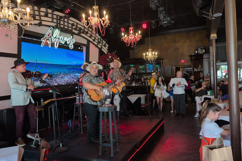 Miami Combo: Everglades Adventure and Sightseeing Tour Combo - Downtown Miami pickup