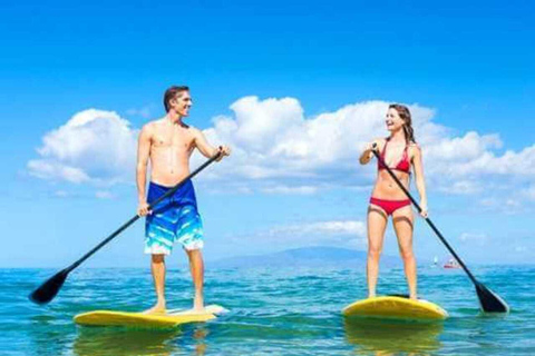 Zanzibar: Stand-Up Paddle boarding Guided Tour