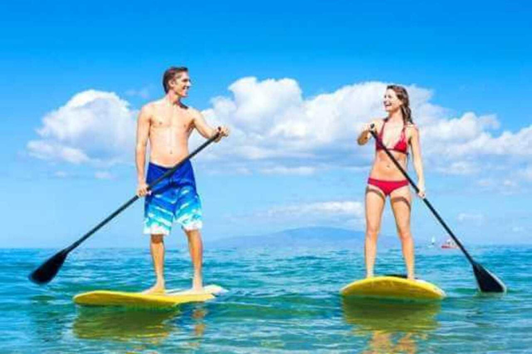Zanzibar: Stand-Up Paddle boarding Guided Tour