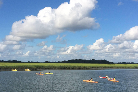 Charleston: Tandem- oder Einzelkajaktour mit einem GuideSumpfkajak Tour - Tarpon Sit-on-top Single