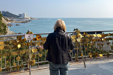Busan & Gyeongju Highlights 2 Days Combo Tour from Busan