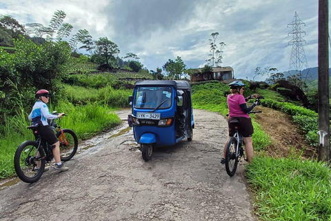 Sri Lanka 14-Day Small-Group Cycling Tour