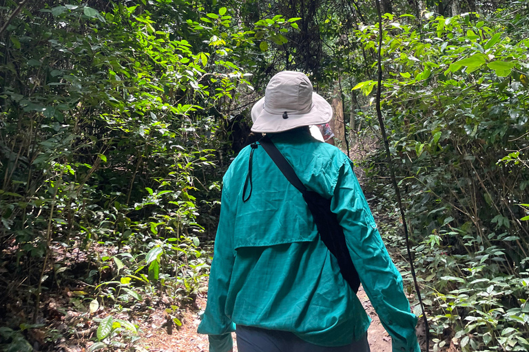 Gana: excursão de 8 dias em dezembro com Afrofuture/vida noturna