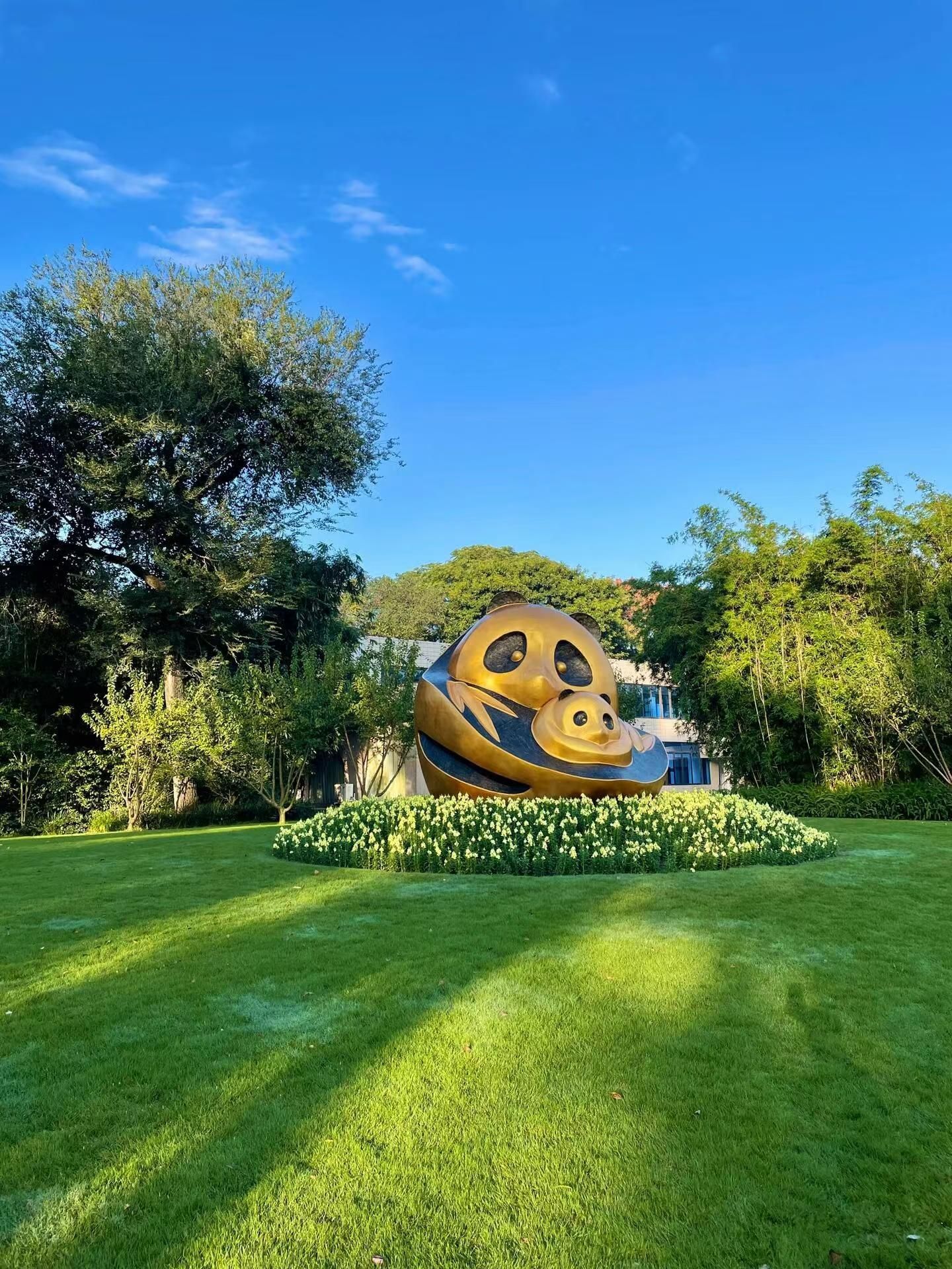 Chengdu: Panda Research Base Ticket oder private Transfer Tour