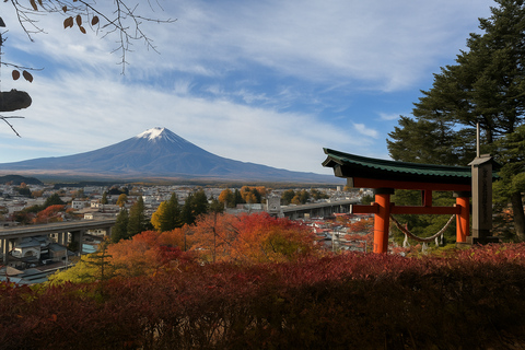 Tokyo: Private Mt. Fuji Luxury Day Tour – Fully Customizable Luxury Land Cruise Customizable Tour