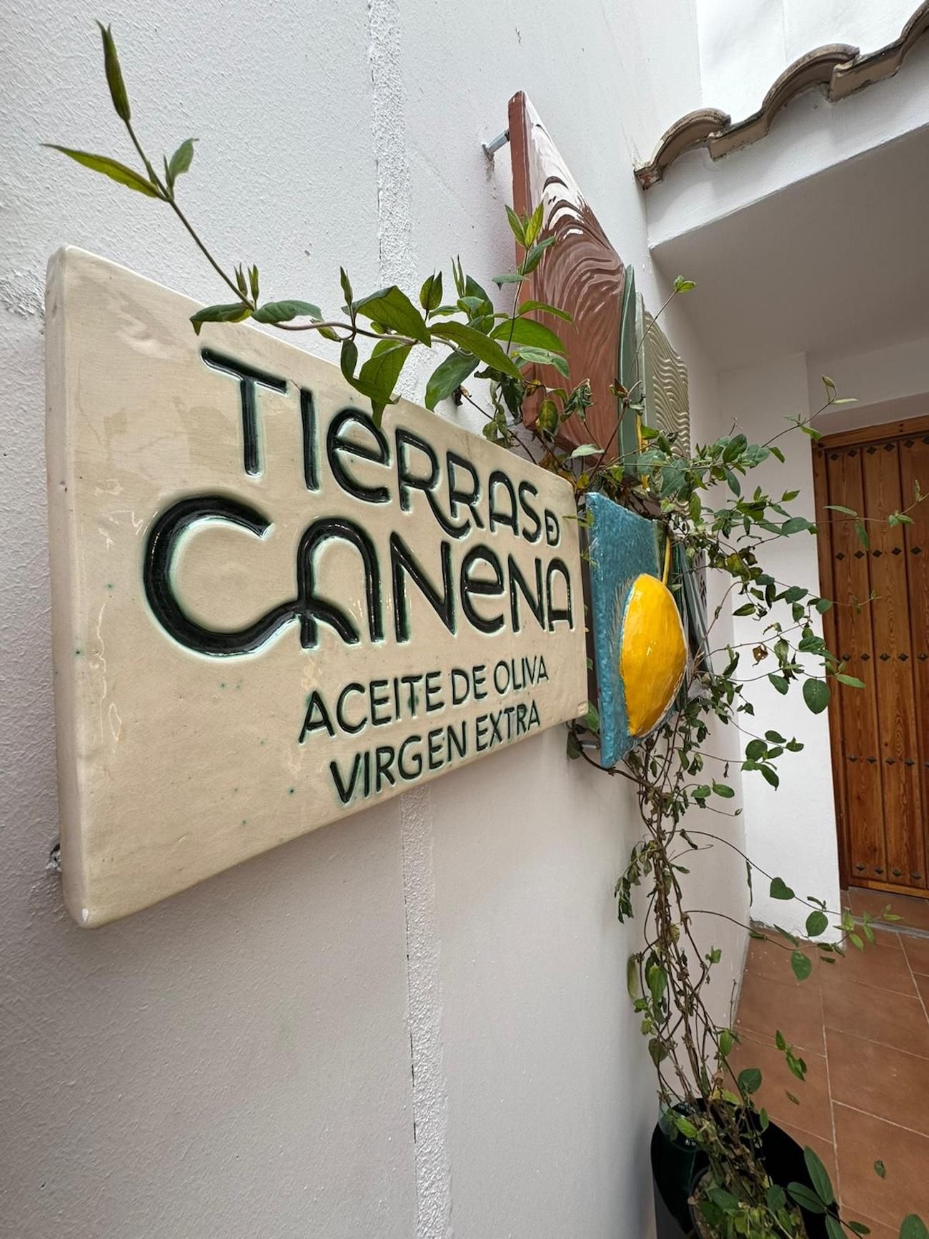 Canena: Verkostung von nativem Olivenöl extra