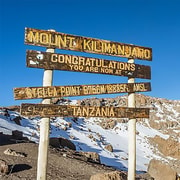 Jours D Ascension Du Kilimandjaro Par La Route De Lemosho Getyourguide