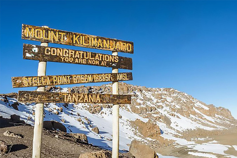 8 dias de magia no Kilimanjaro na Rota Lemosho8 dias de escalada da Rota Lemosho no Kilimanjaro