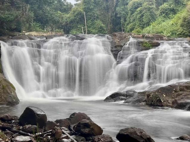 Byron Bay: Rainforest Waterfalls Guided Eco Tour