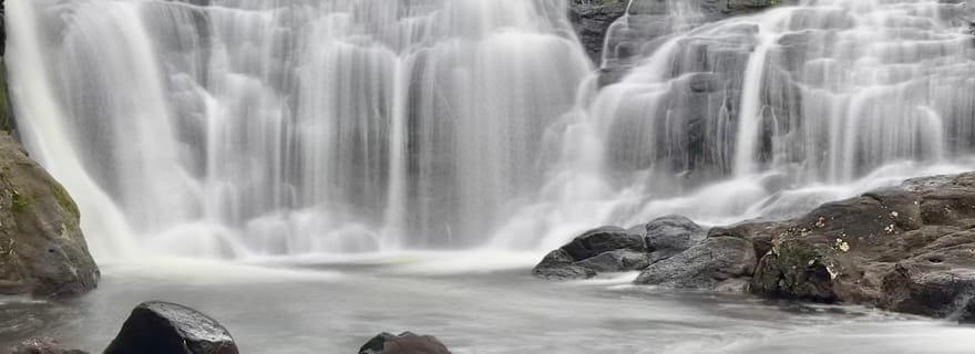 Byron Bay : visite écologique guidée des cascades de la forêt tropicale