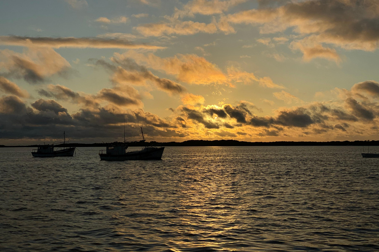 Natuurbelevenis Rio Lagartos en Las Coloradas.
