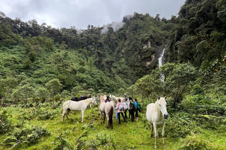 Papallacta: Nature Experience with Hike and Lunch