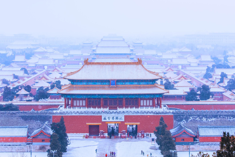 Beijing: Forbidden City & Panda Zoo Private Tour Beijing Panda Zoo （only ticket，not tour）
