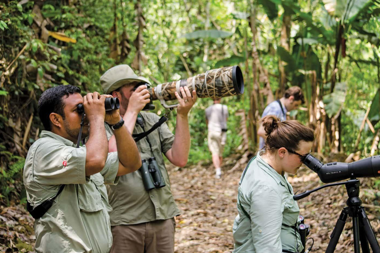 La Romana: Observación de aves desde la Casa de Campo