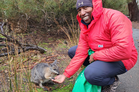 Adelaide: Premium Adelaide Hills Cleland and Hahndorf Tour