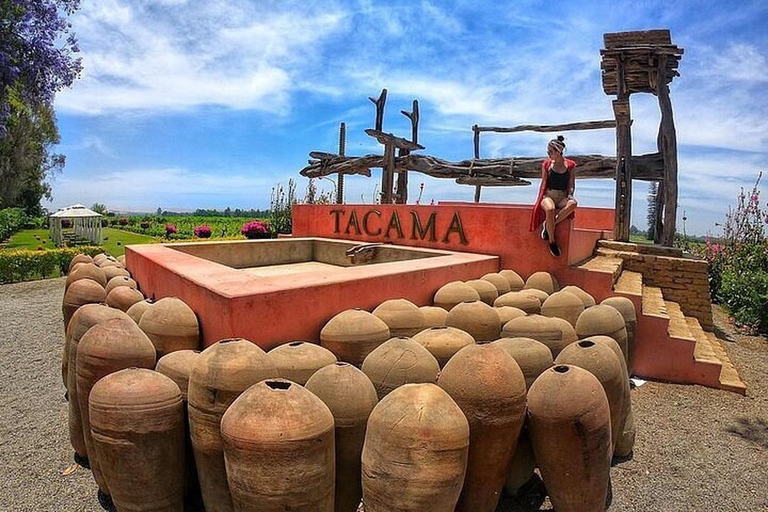 Private Excursion to Huacachina and Hacienda Tacama from Lima