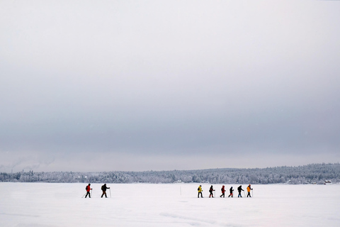 From Abisko: Sami Village Visit with Reindeer & Snowshoeing